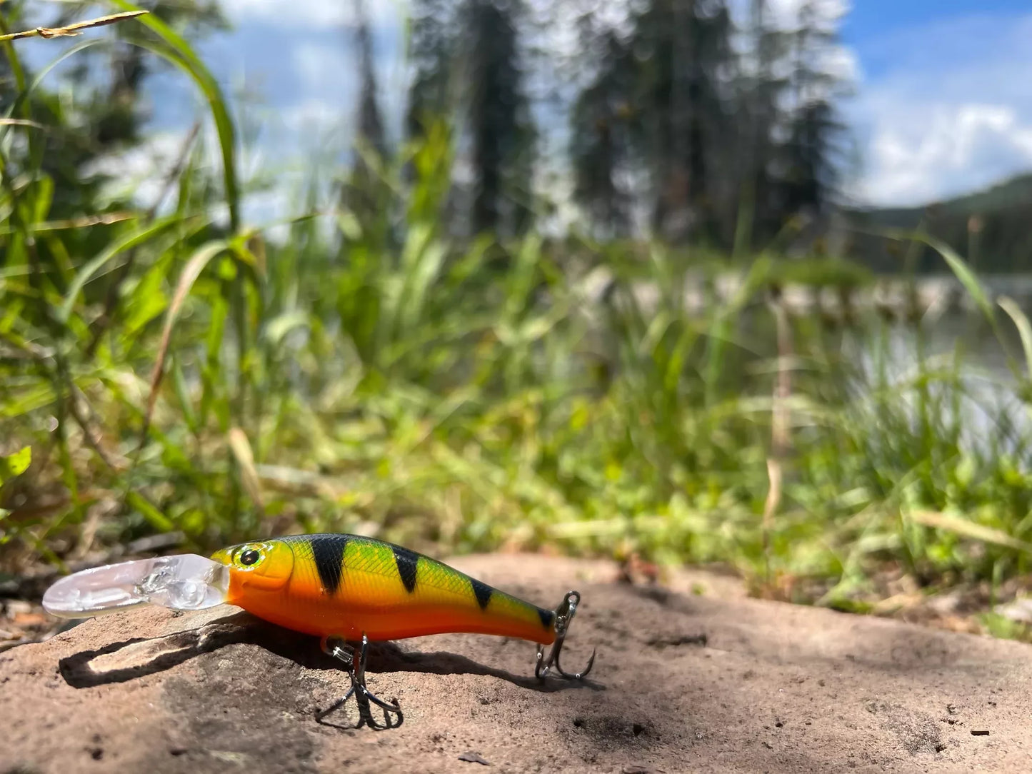 Backwoods Deep Diver - Bright Perch