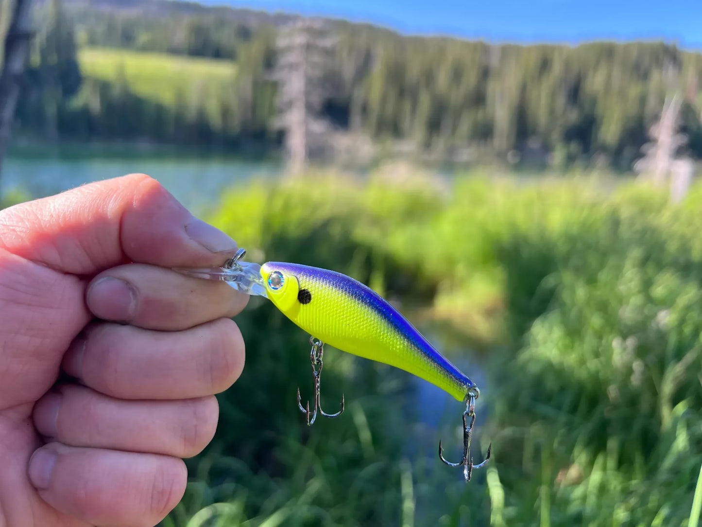 Backwoods Deep Diver - Chartreuse