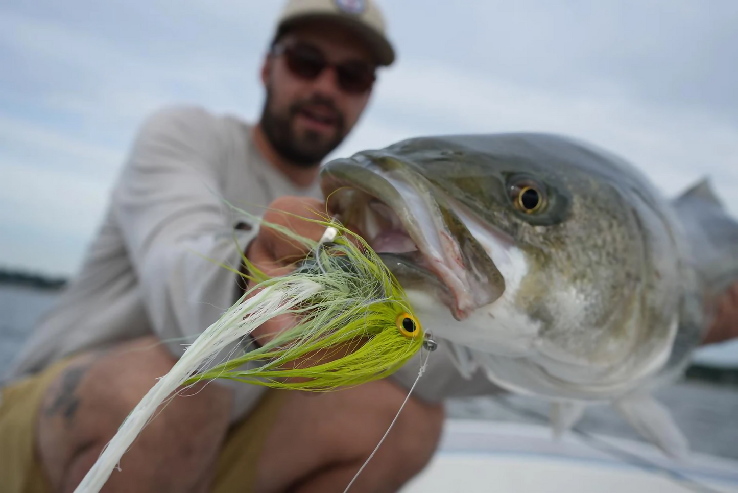 Beast Fleye: CHARTREUSE/BLUE