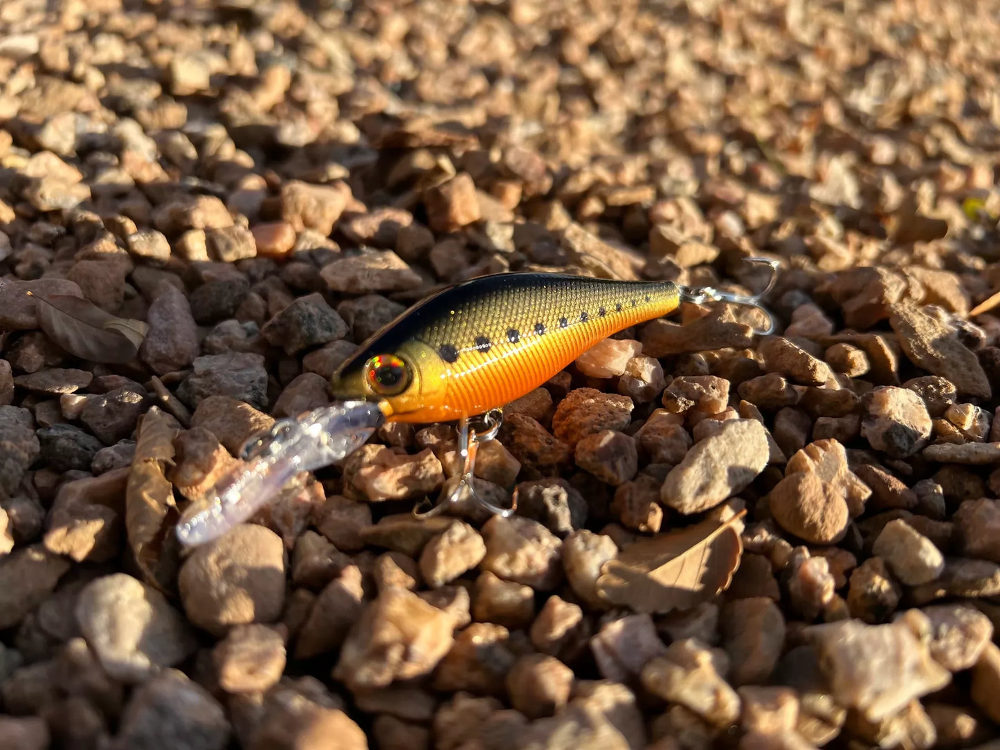 Backwoods Deep Diver - Gold