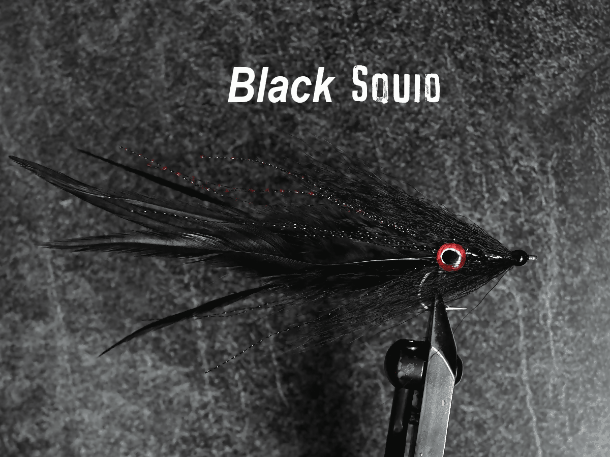 Squid Fly
