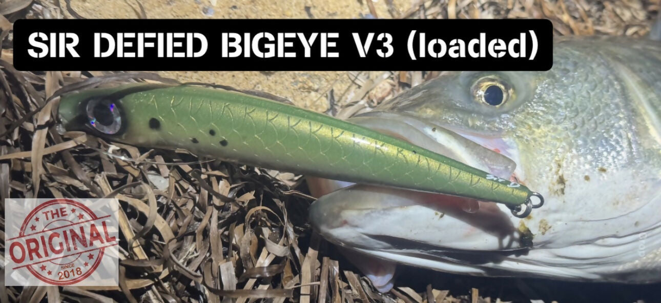 Bigeye v3 (loaded)