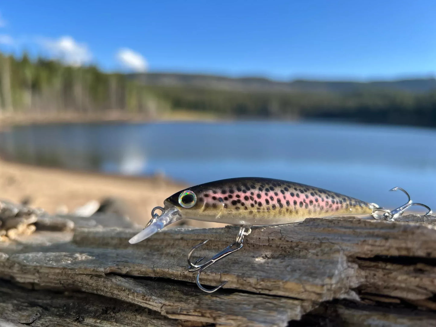 Backwoods Jerk Bait - Rainbow Trout