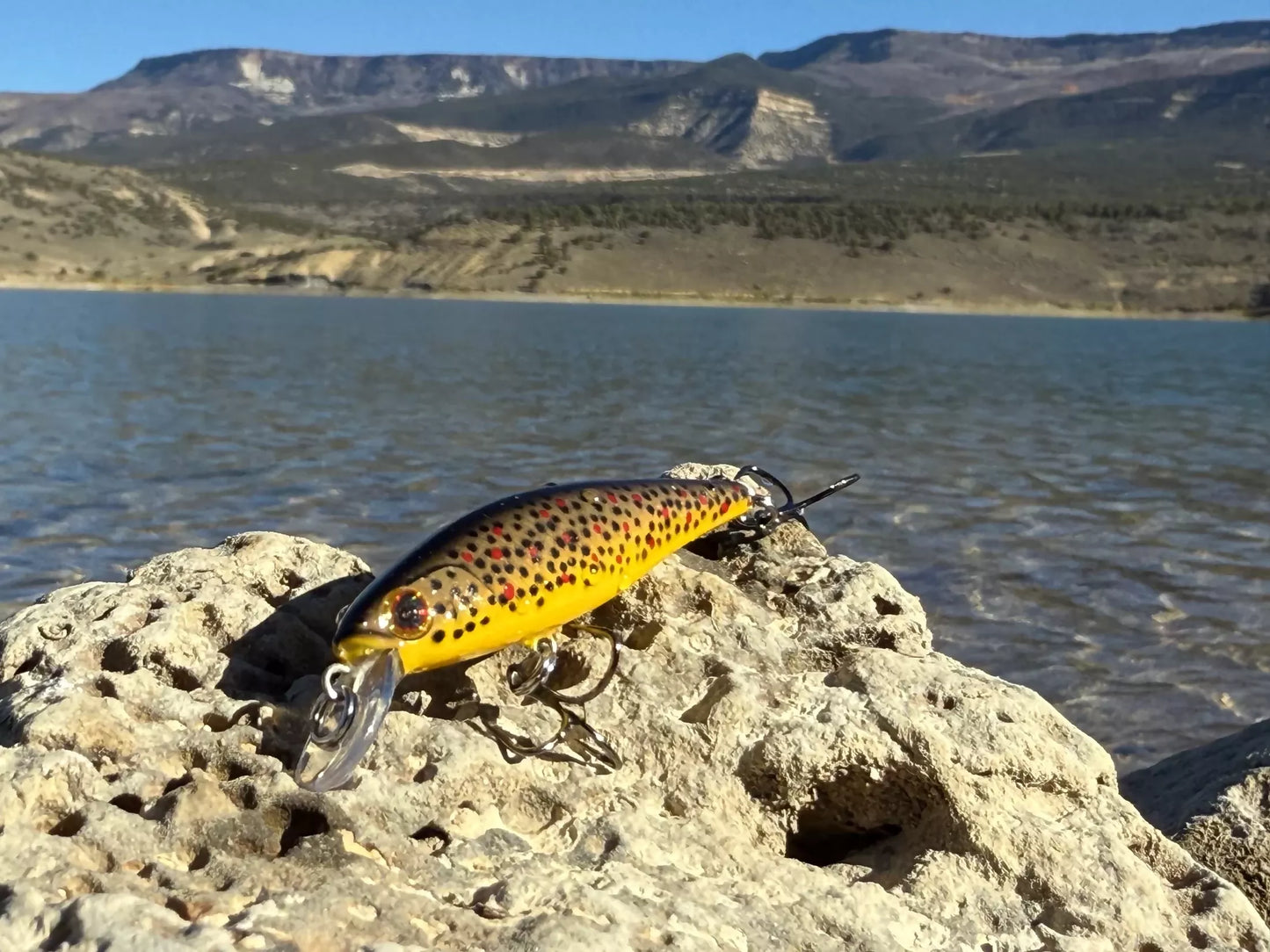 Backwoods Jerk Bait - Brown Trout