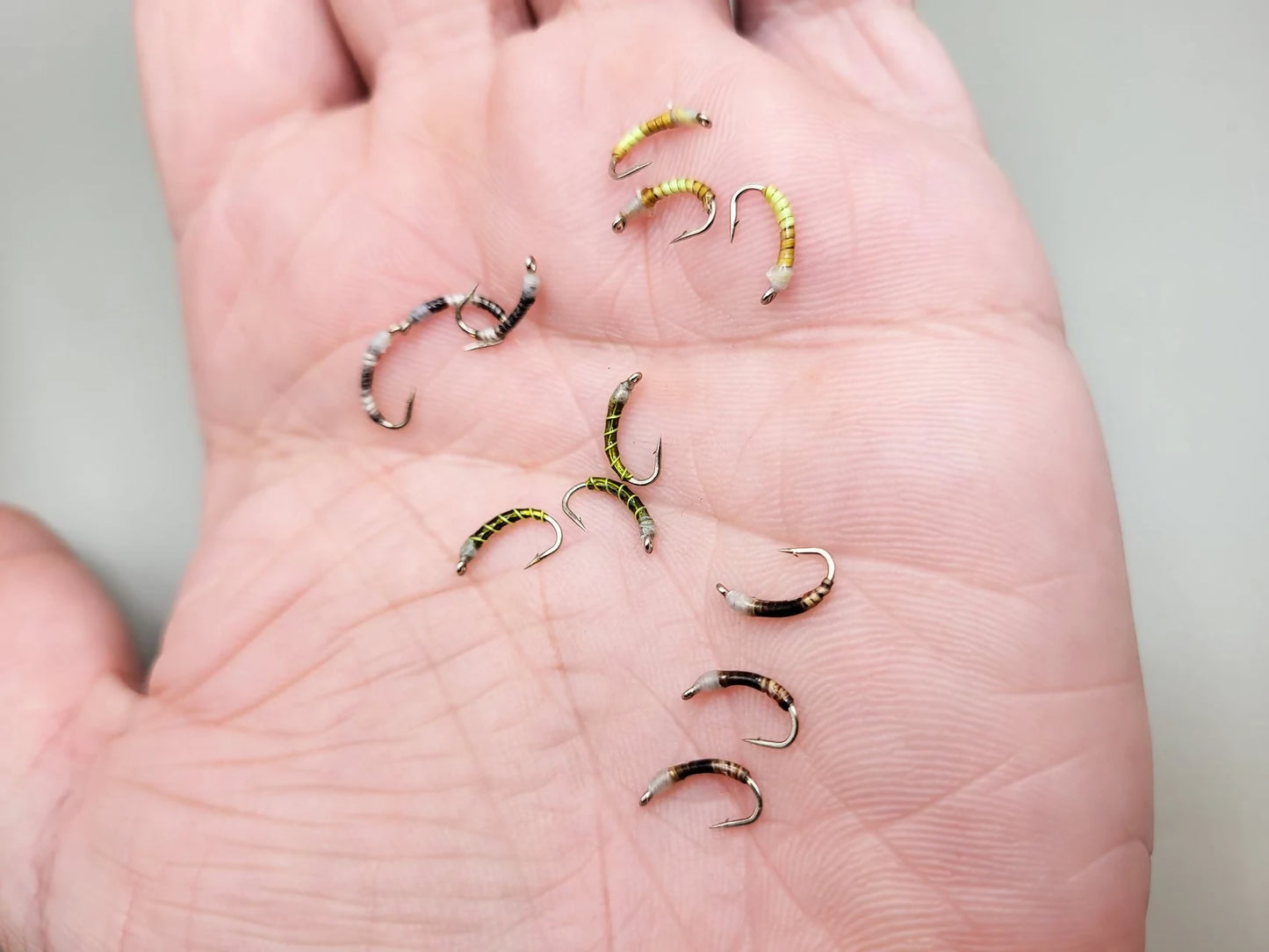 PGH 1-Inchers- Assorted Dozen