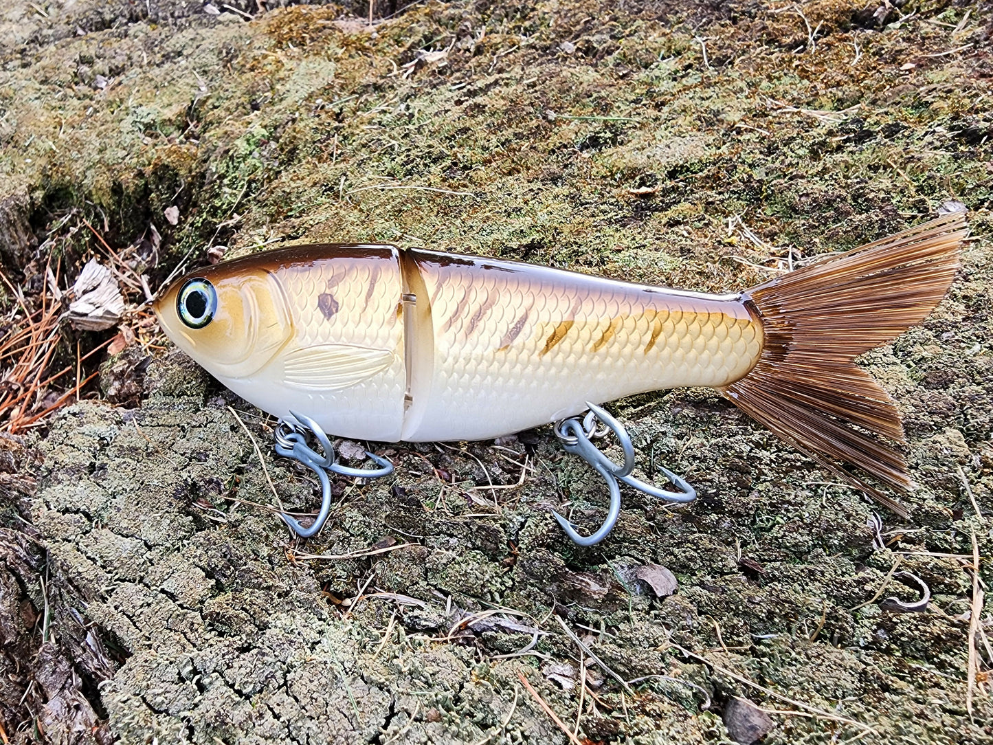 7" Kill Flash glide bait (Spot)