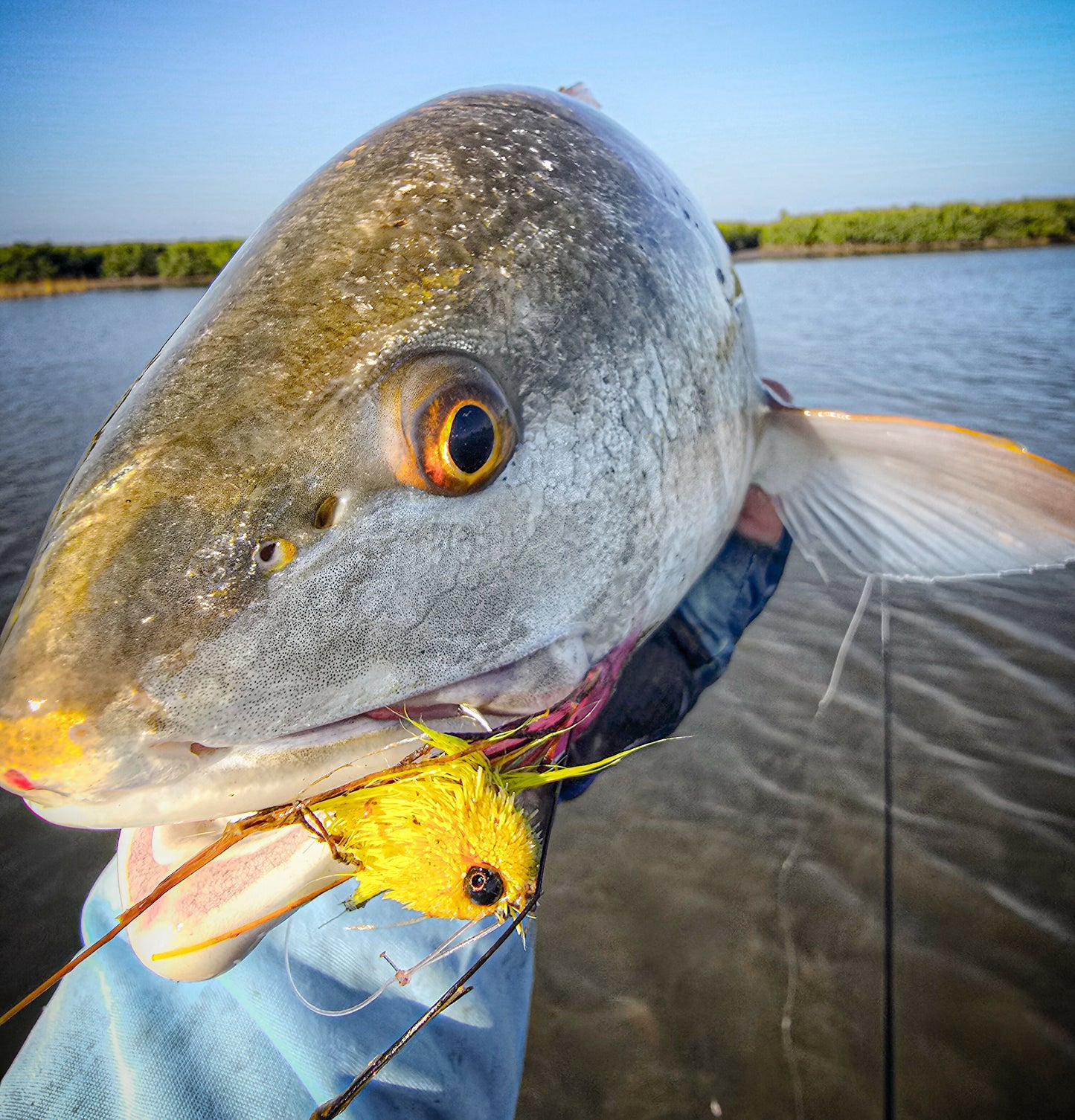 FlySmith Sus Sliders
