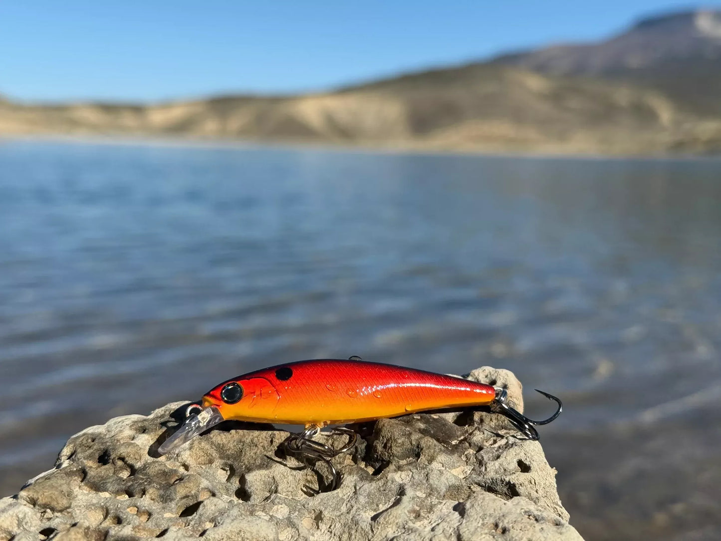 Backwoods Jerk Bait - Fire Fish