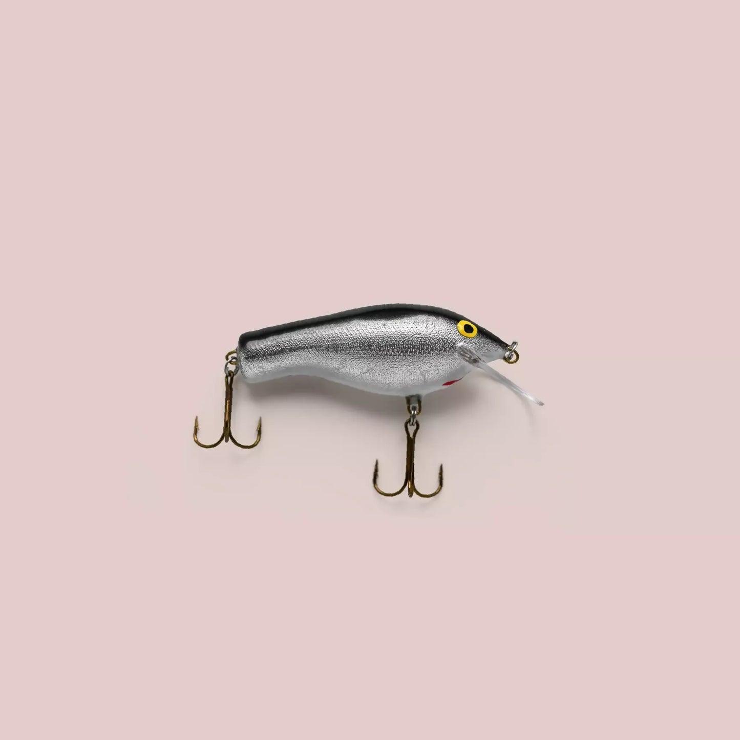 AC Shiners #00