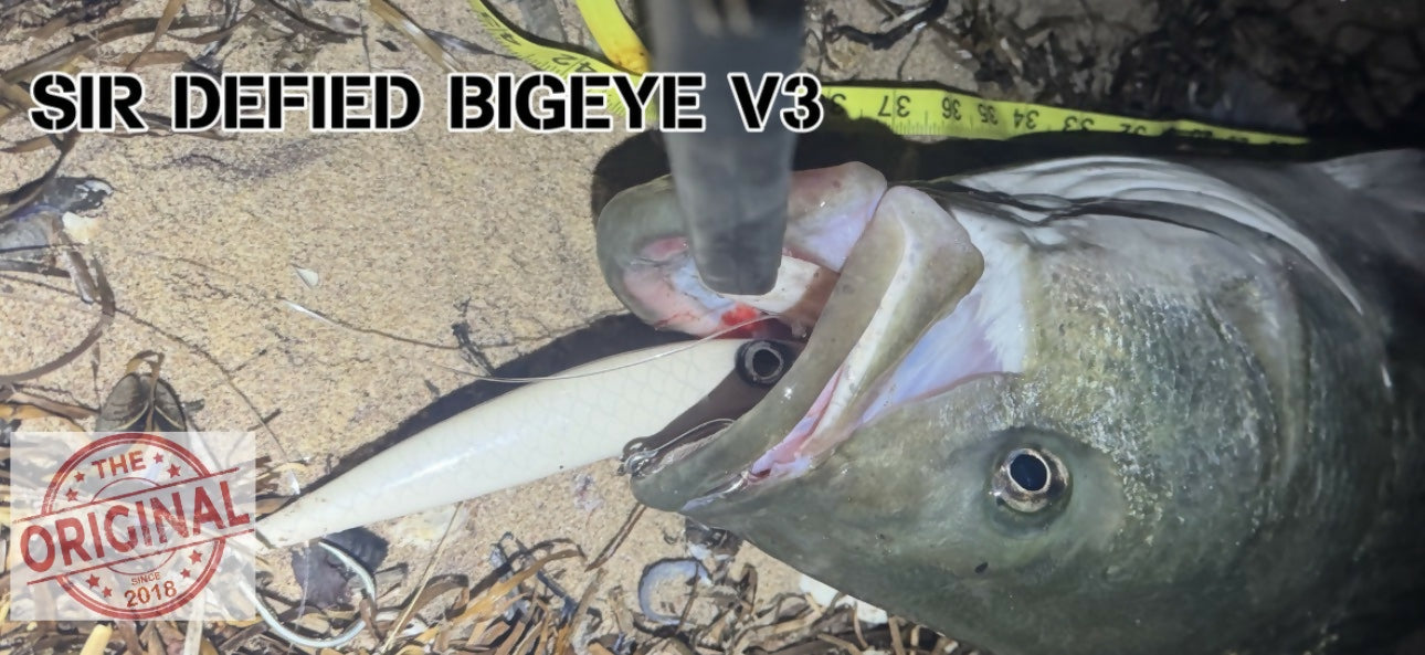 Bigeye v3