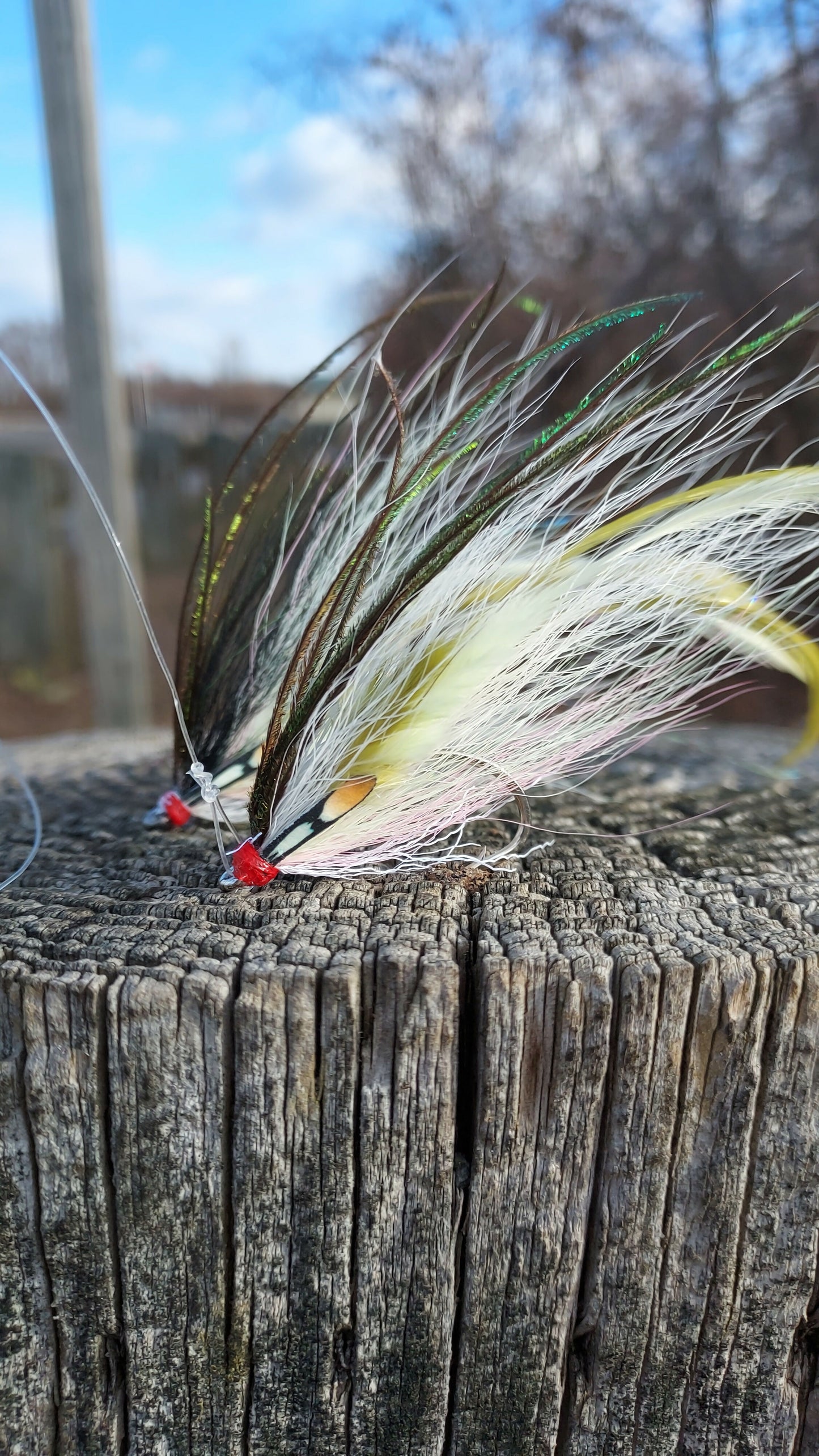 Pair of 3/0 Flatwing Fly (2)
