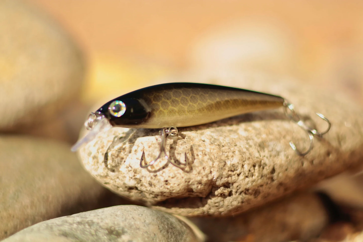 Backwoods Jerk Bait - Bait Fish