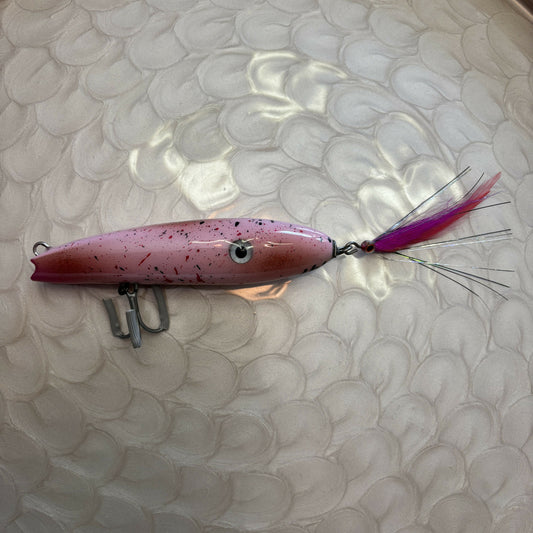 Squid Darter