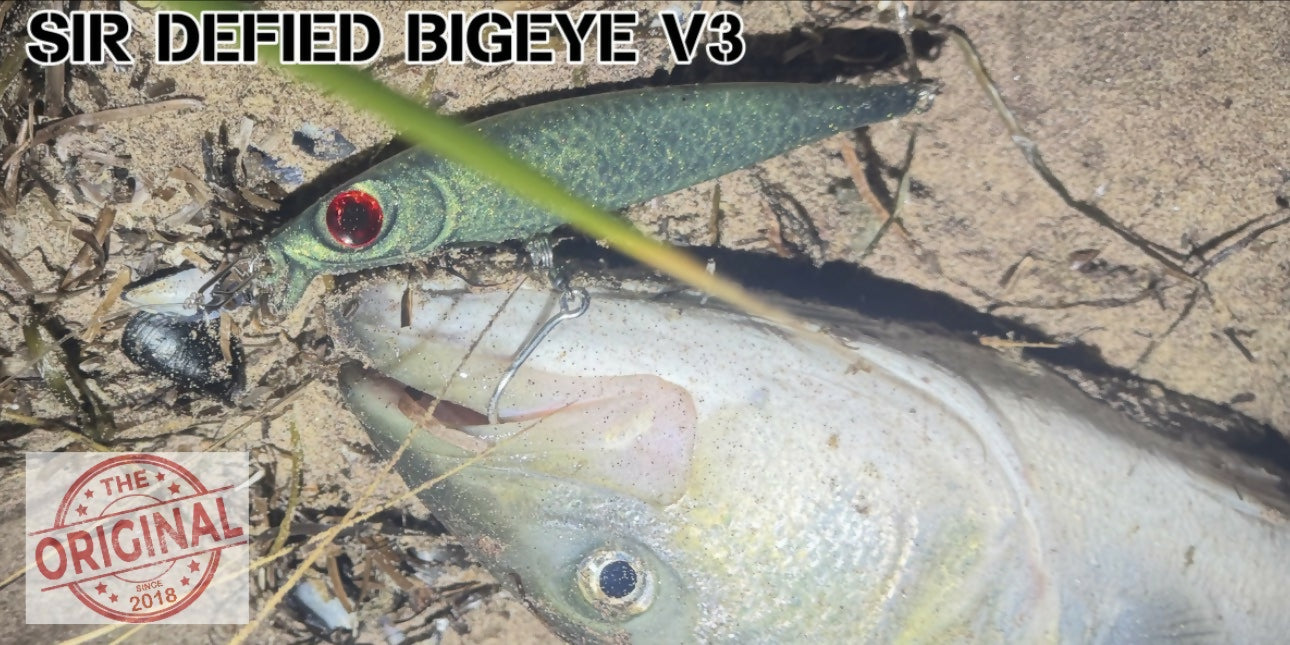 Bigeye v3