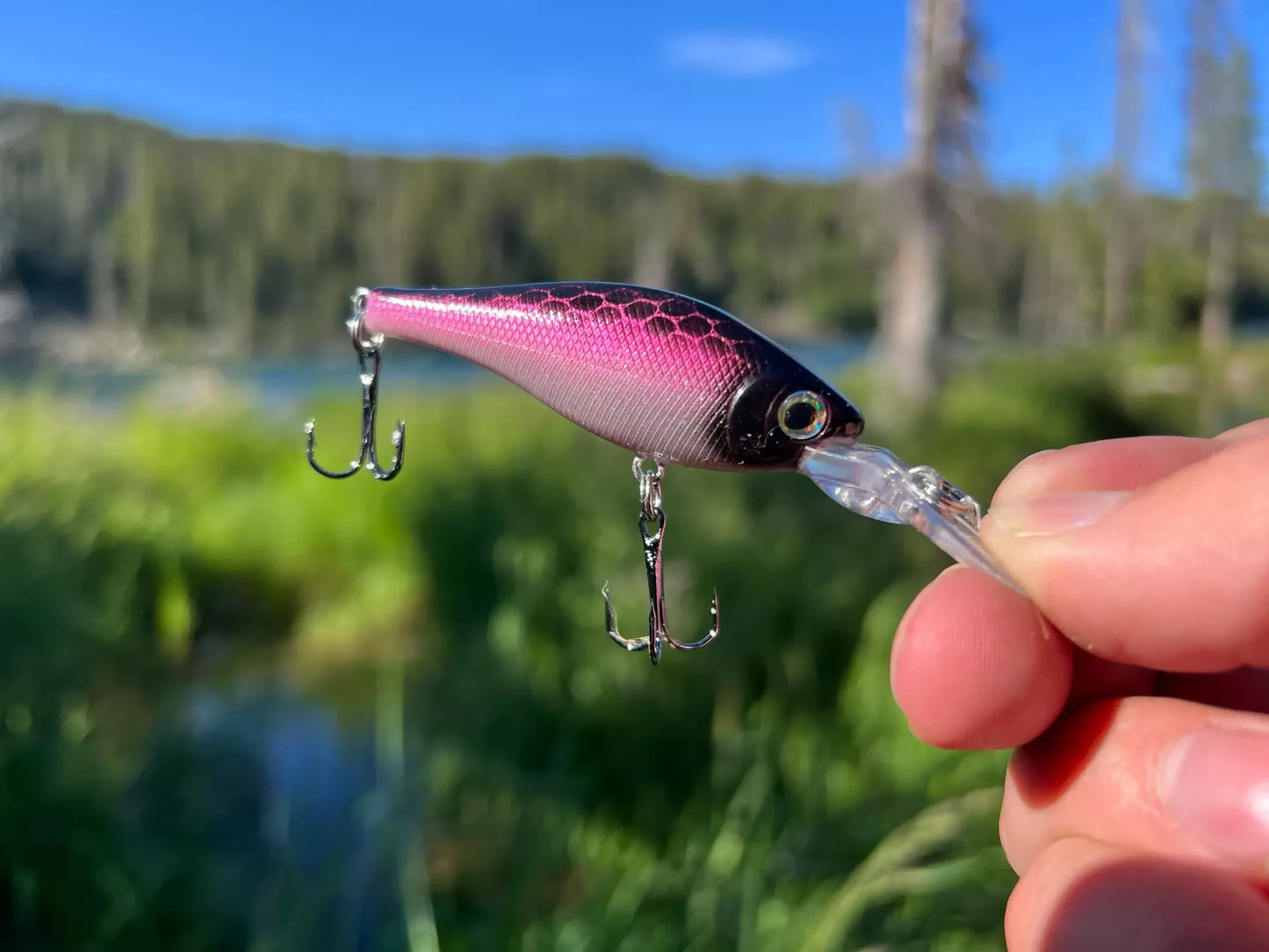 Backwoods Deep Diver - Pink Shad