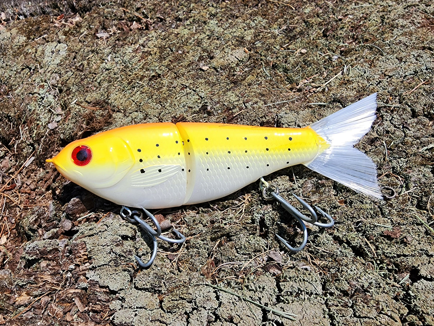 7" Kill Flash glide bait (Chicken Scratch)