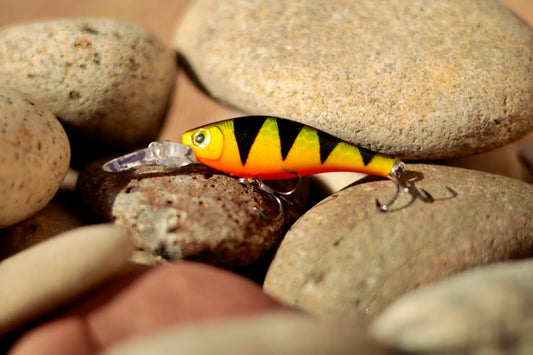 Backwoods Deep Diver - Bright Perch