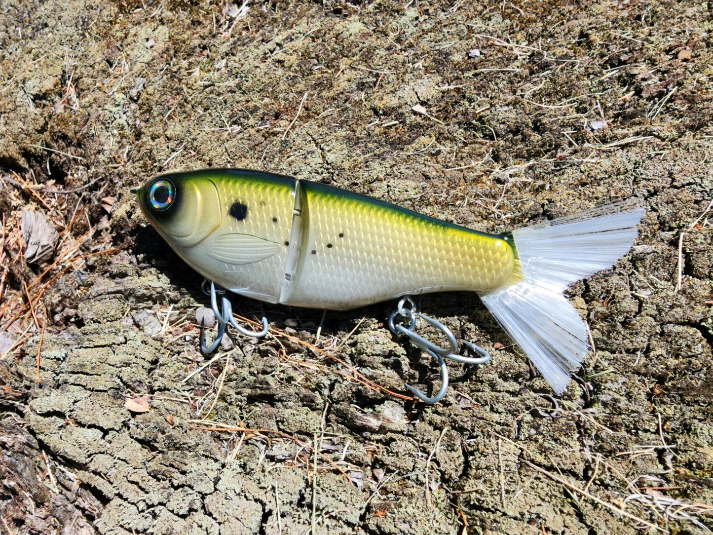 7" Kill Flash glide bait (bunker)