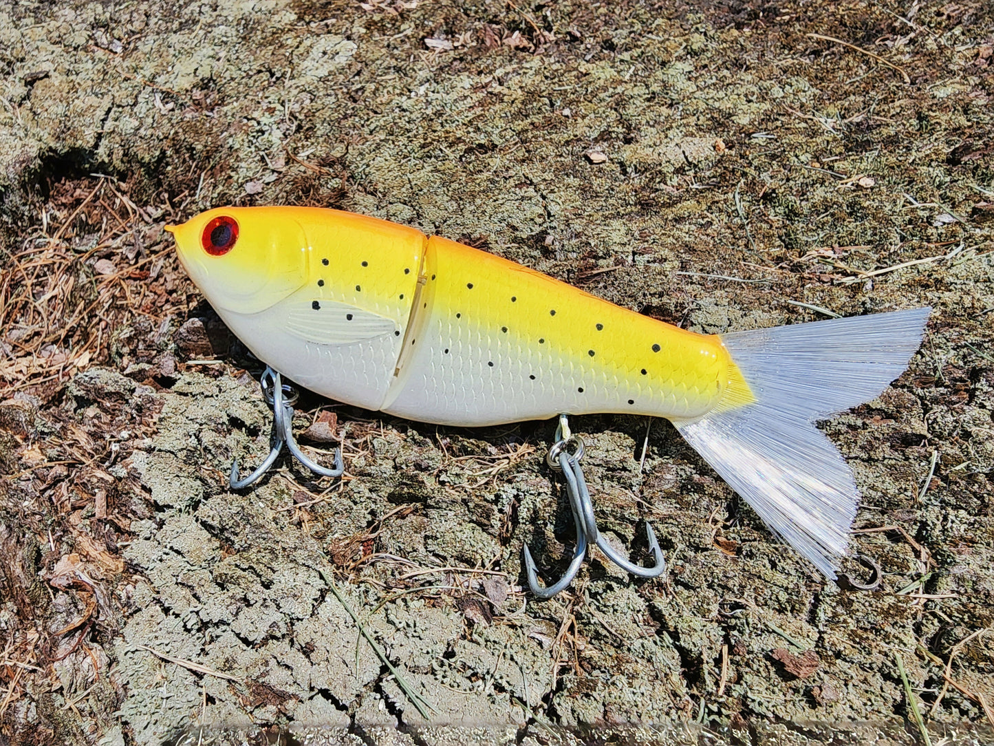 7" Kill Flash glide bait (Chicken Scratch)