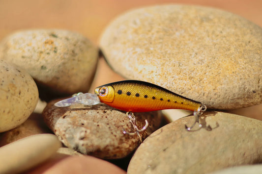 Backwoods Deep Diver - Gold