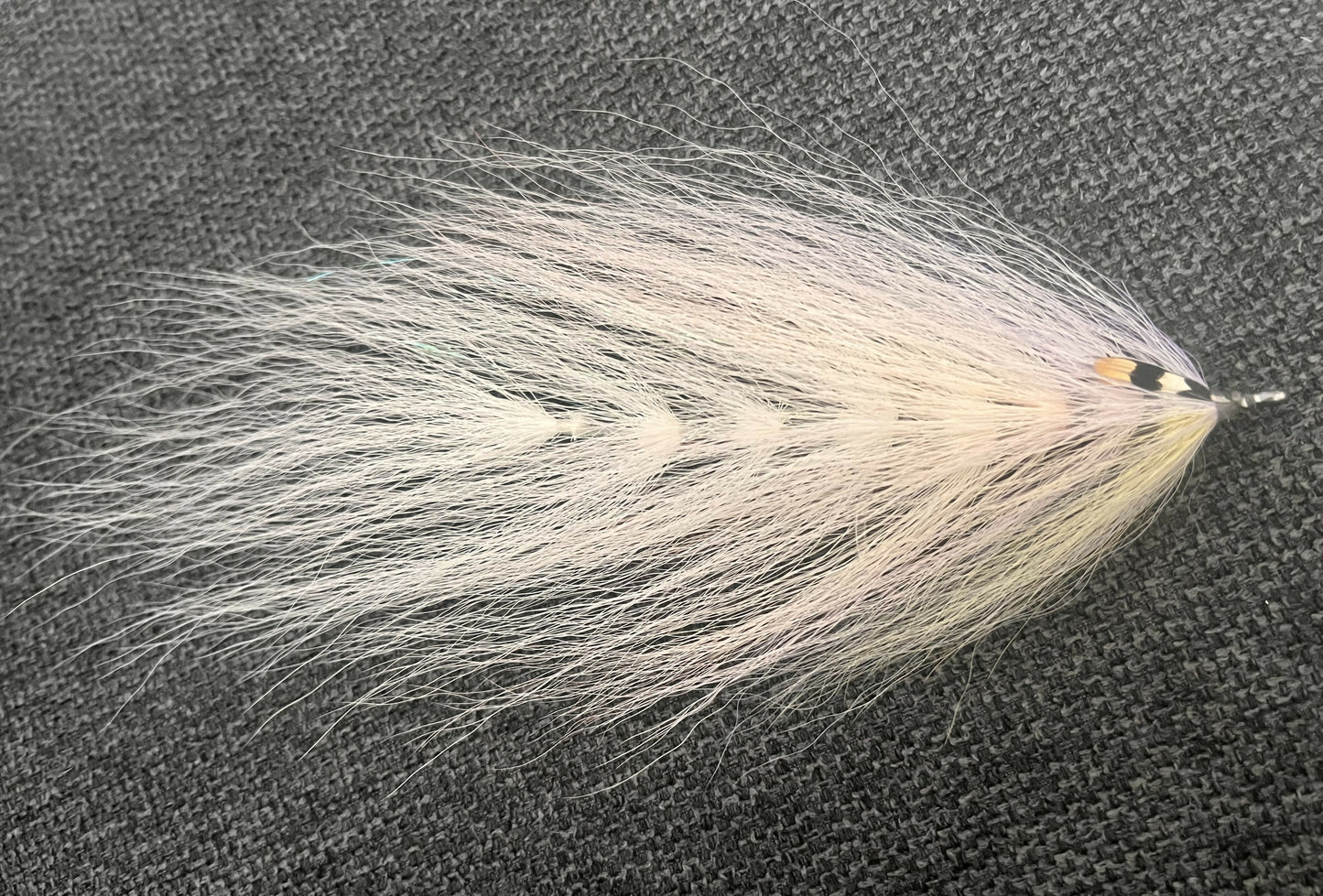 Beast fly
