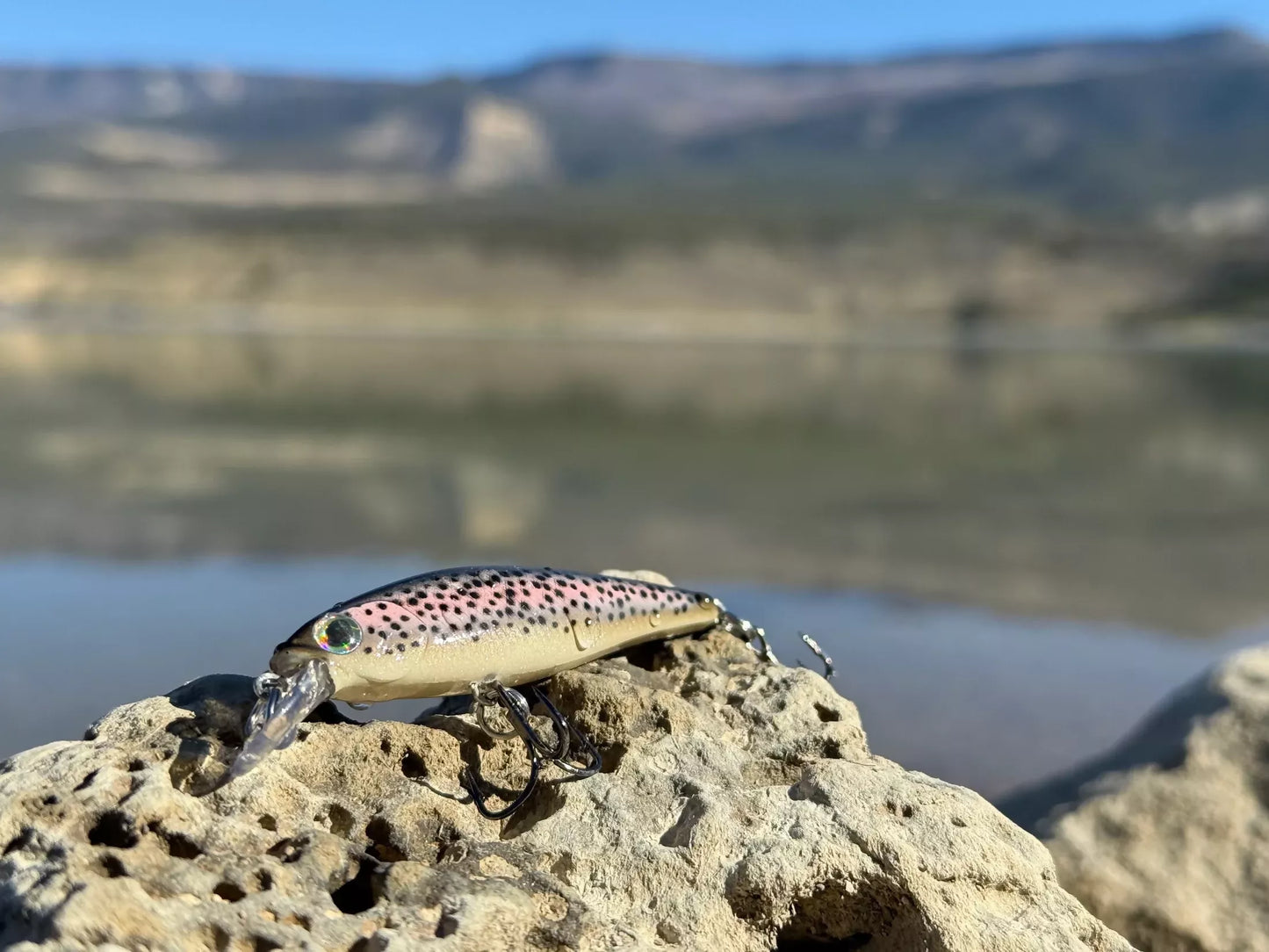 Backwoods Jerk Bait - Rainbow Trout