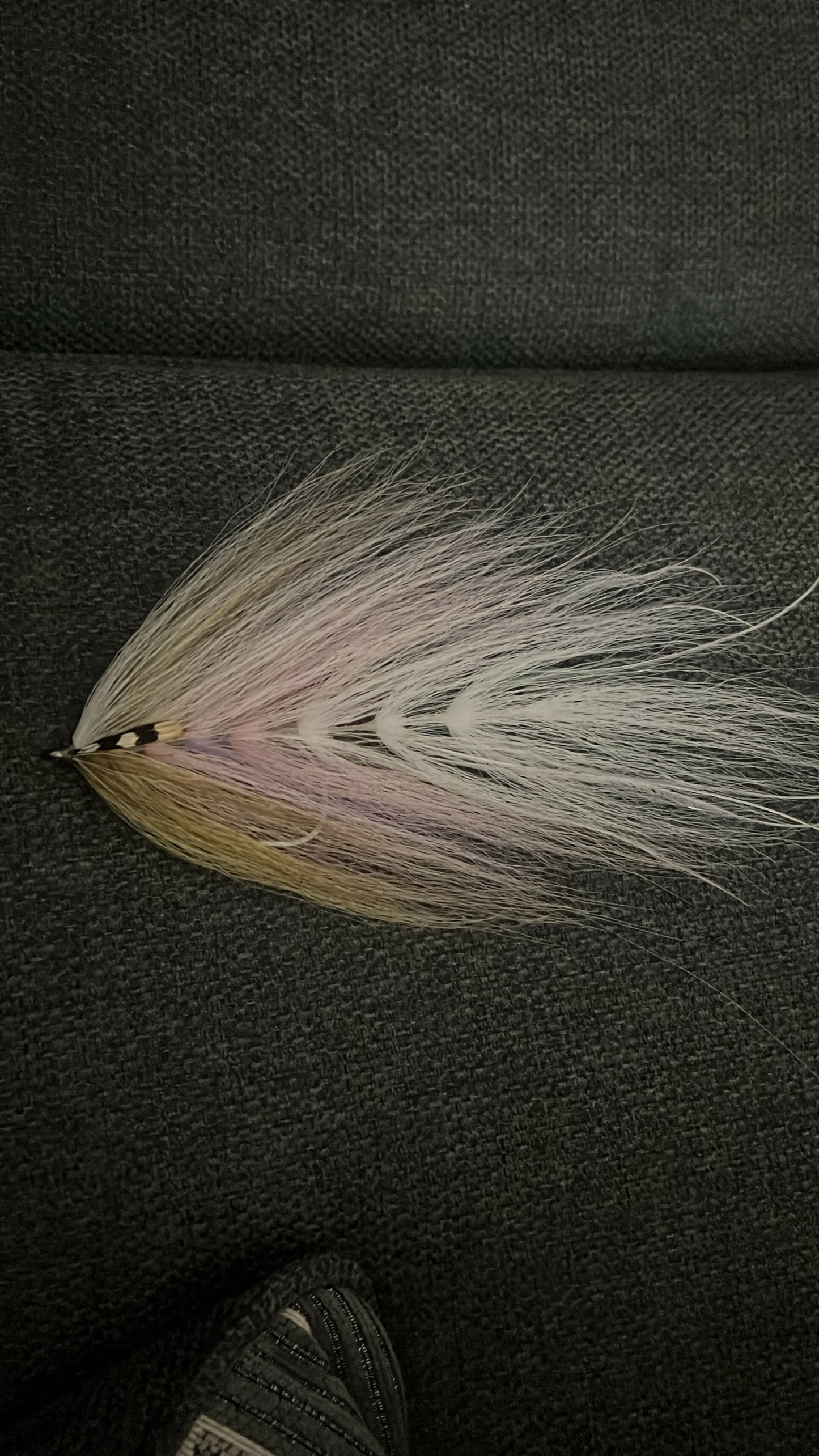 Beast fly