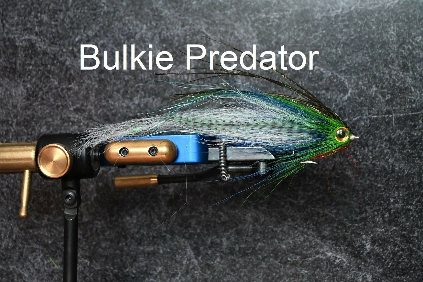 Bulkie Predator