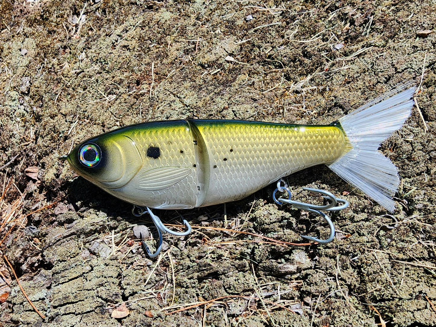 7" Kill Flash glide bait (bunker)
