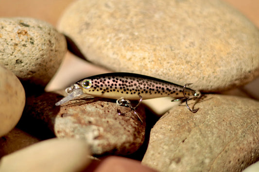 Backwoods Jerk Bait - Rainbow Trout