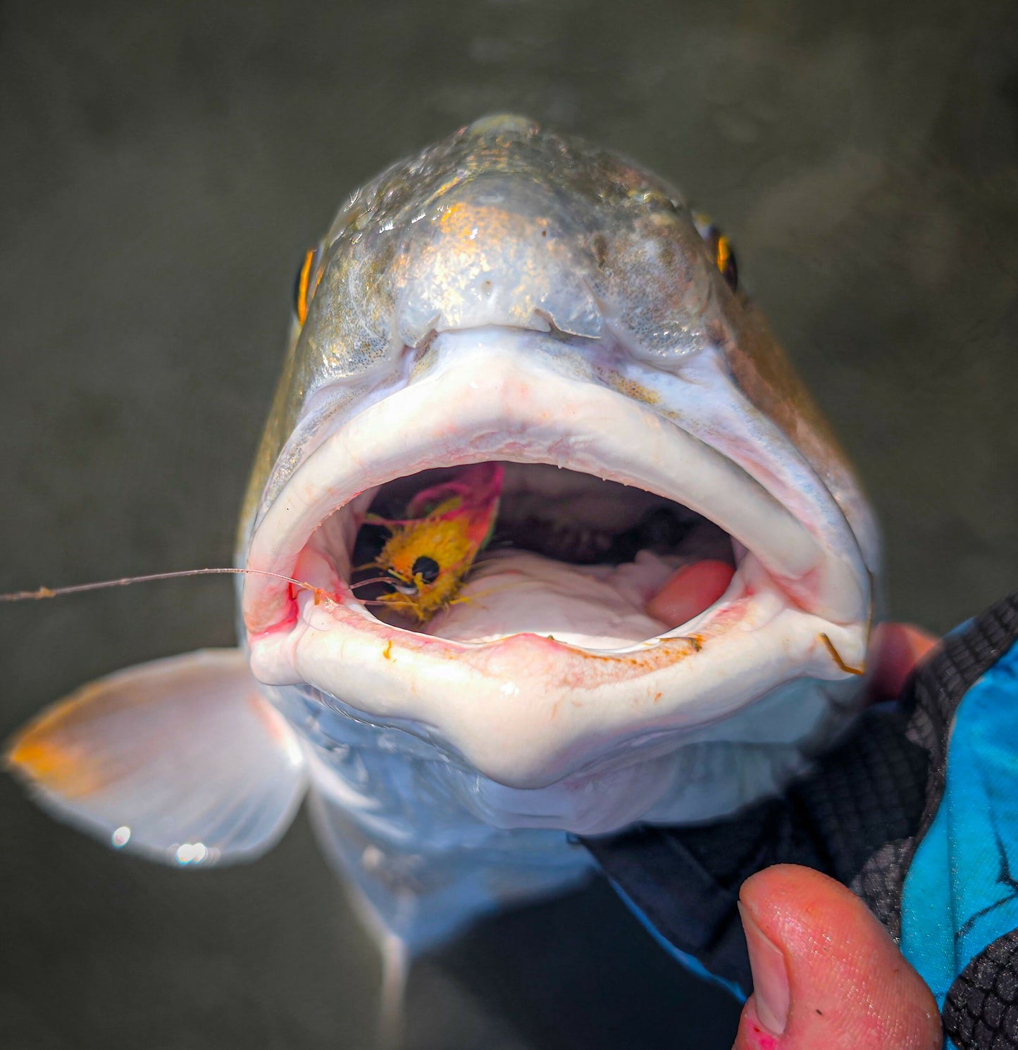 FlySmith Sus Sliders