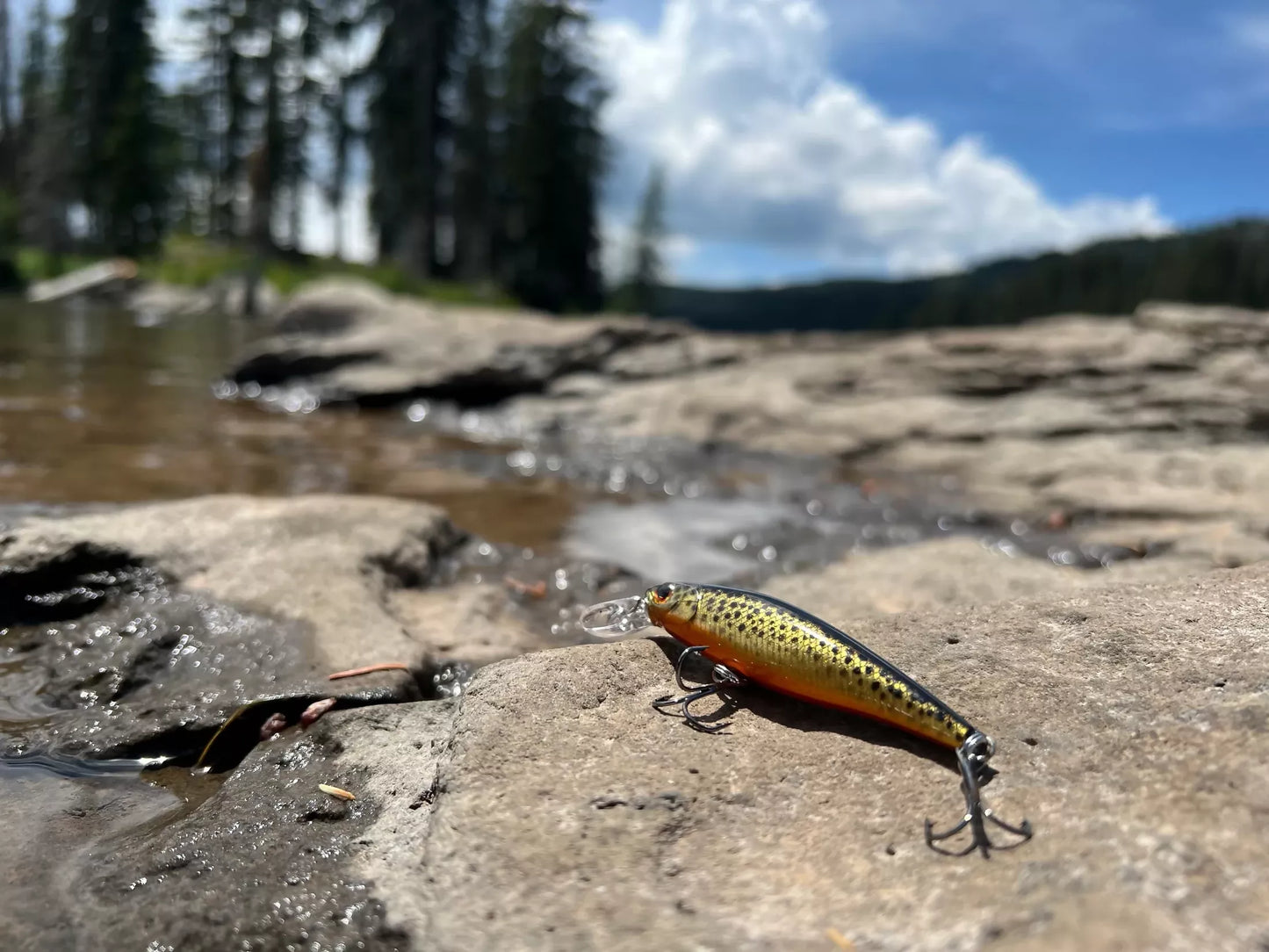 Backwoods Jerk Bait - Gold Trout