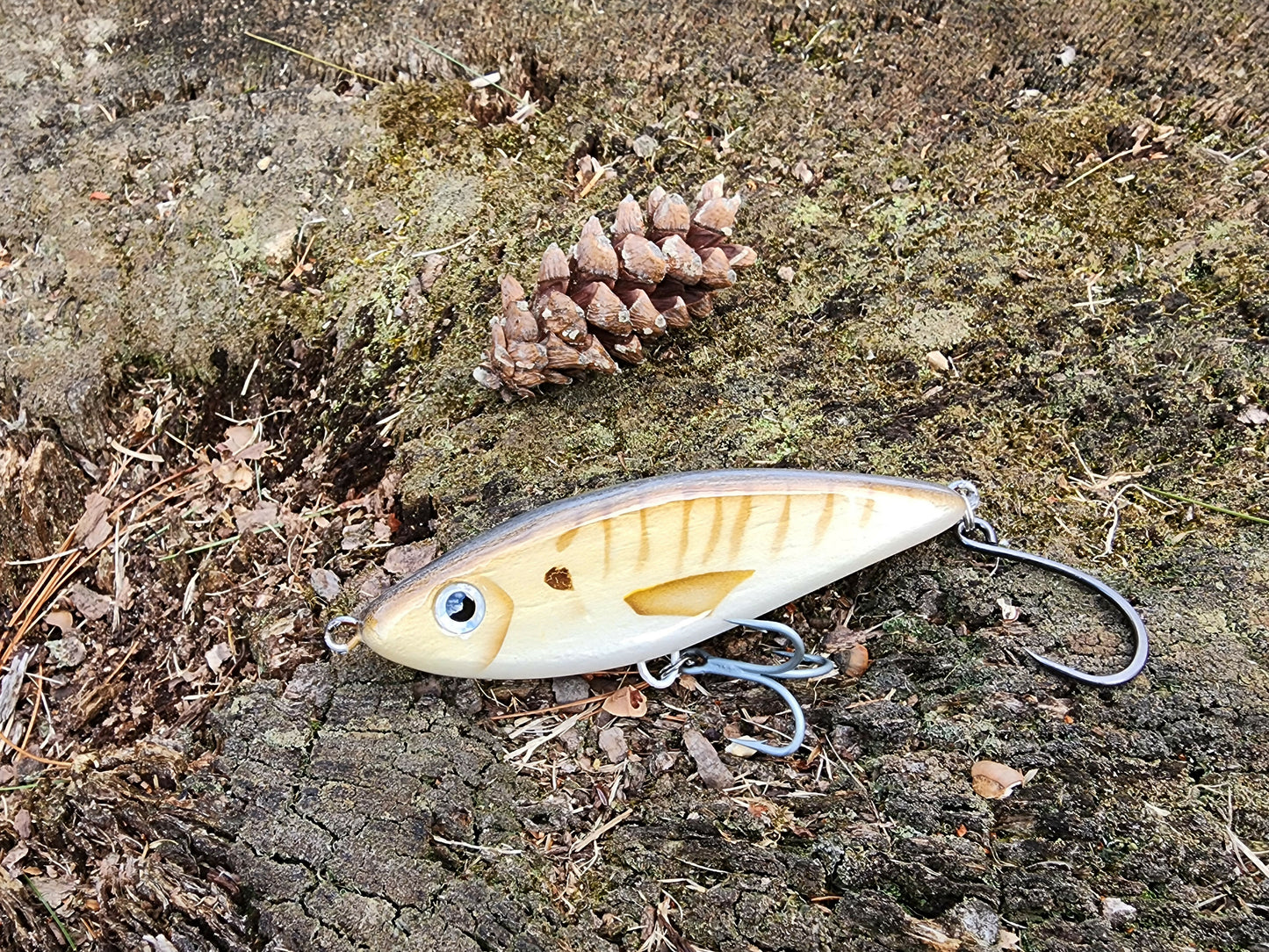 5" Harbor Hammer glidebait (Spot Croaker)