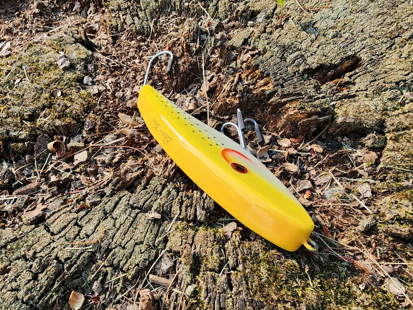 6.5" Chicken Scratch Glidebait