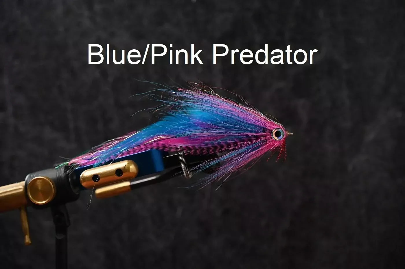 Bulkie Predator