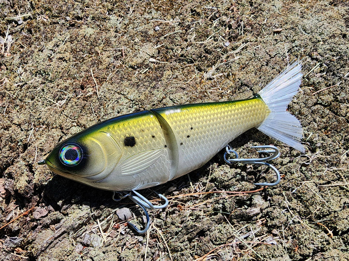 7" Kill Flash glide bait (bunker)