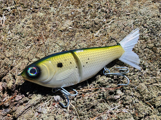 7" Kill Flash glide bait (bunker)