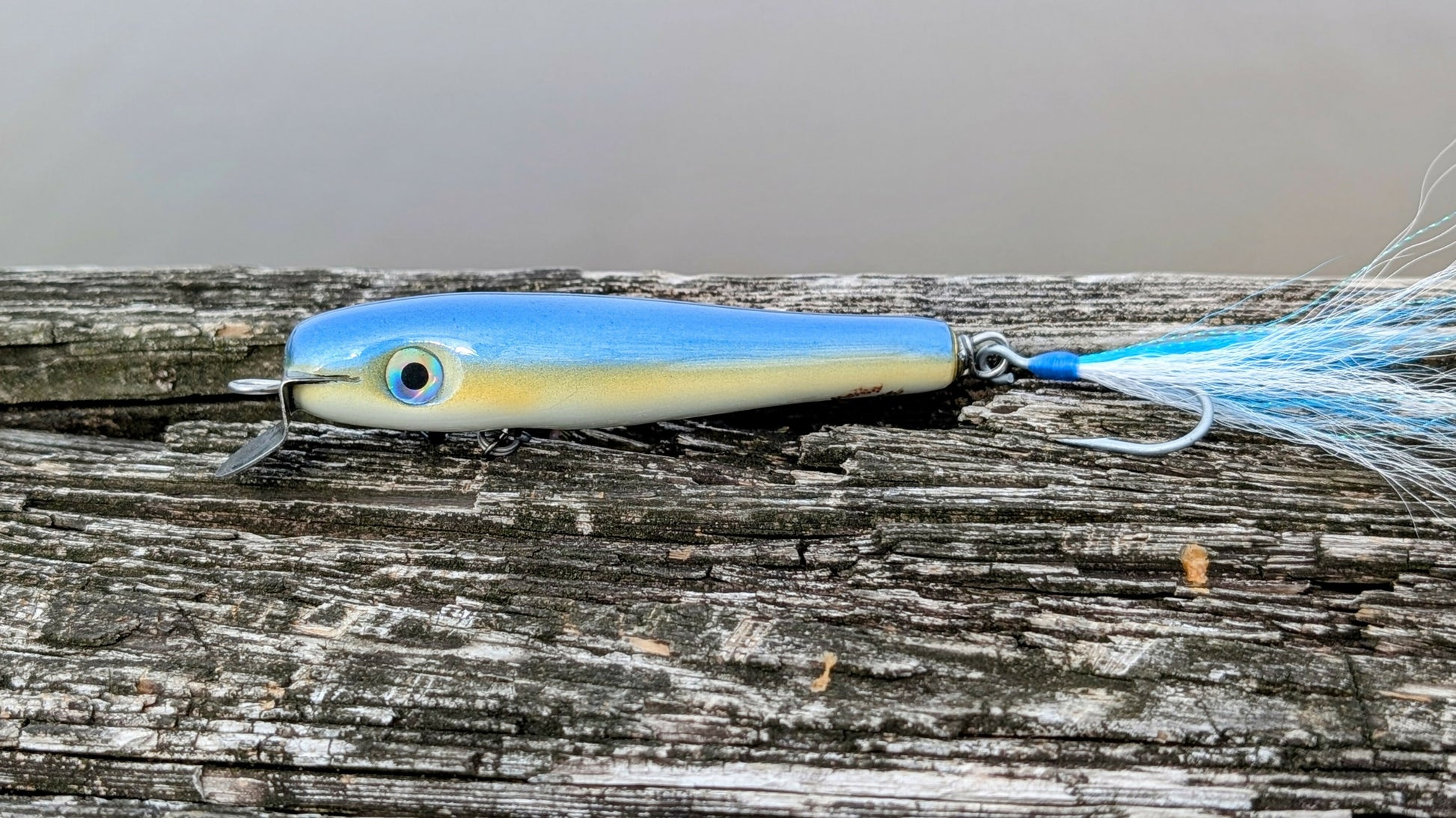 PXL_20250418_200905127.MP~2