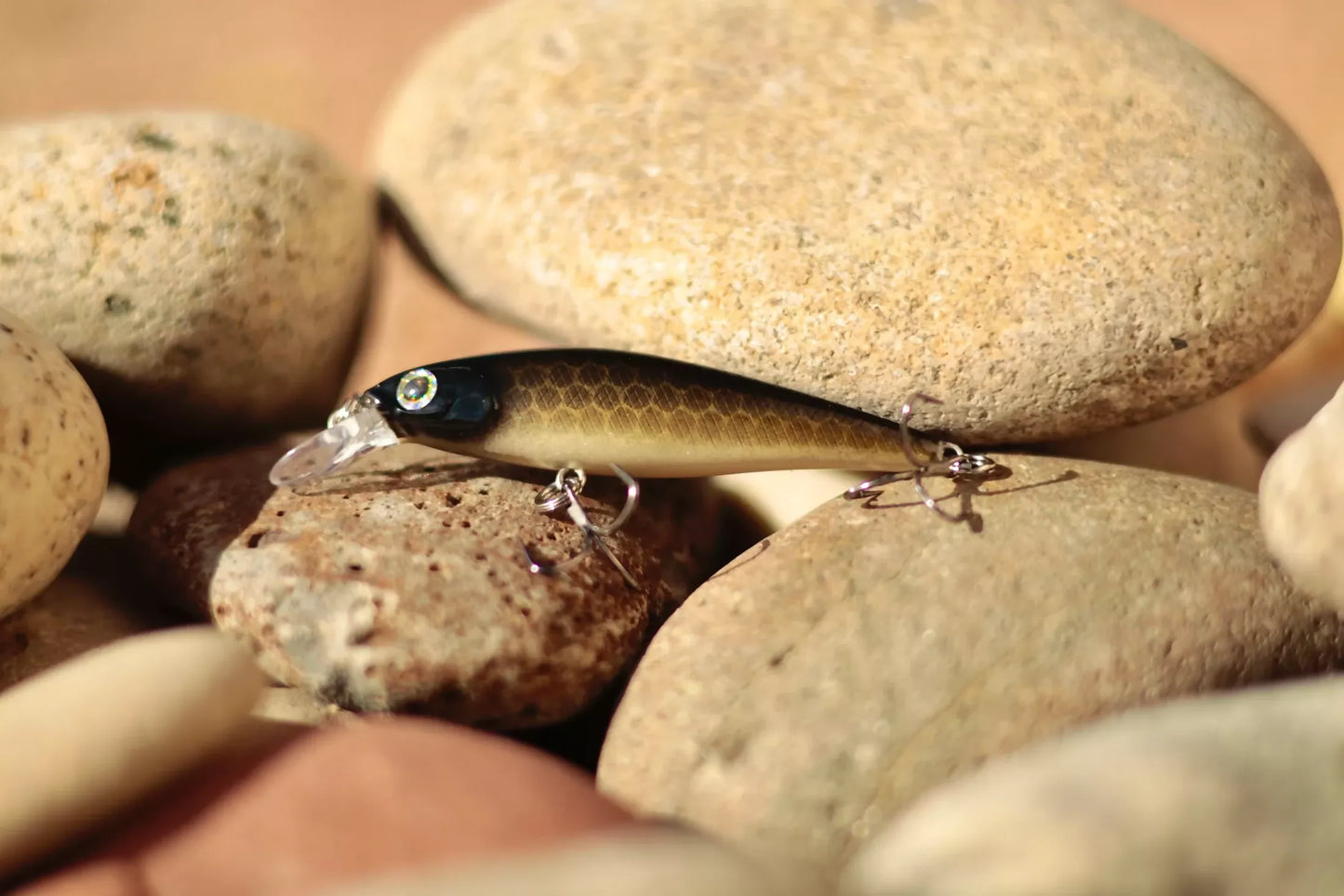 Backwoods Jerk Bait - Bait Fish