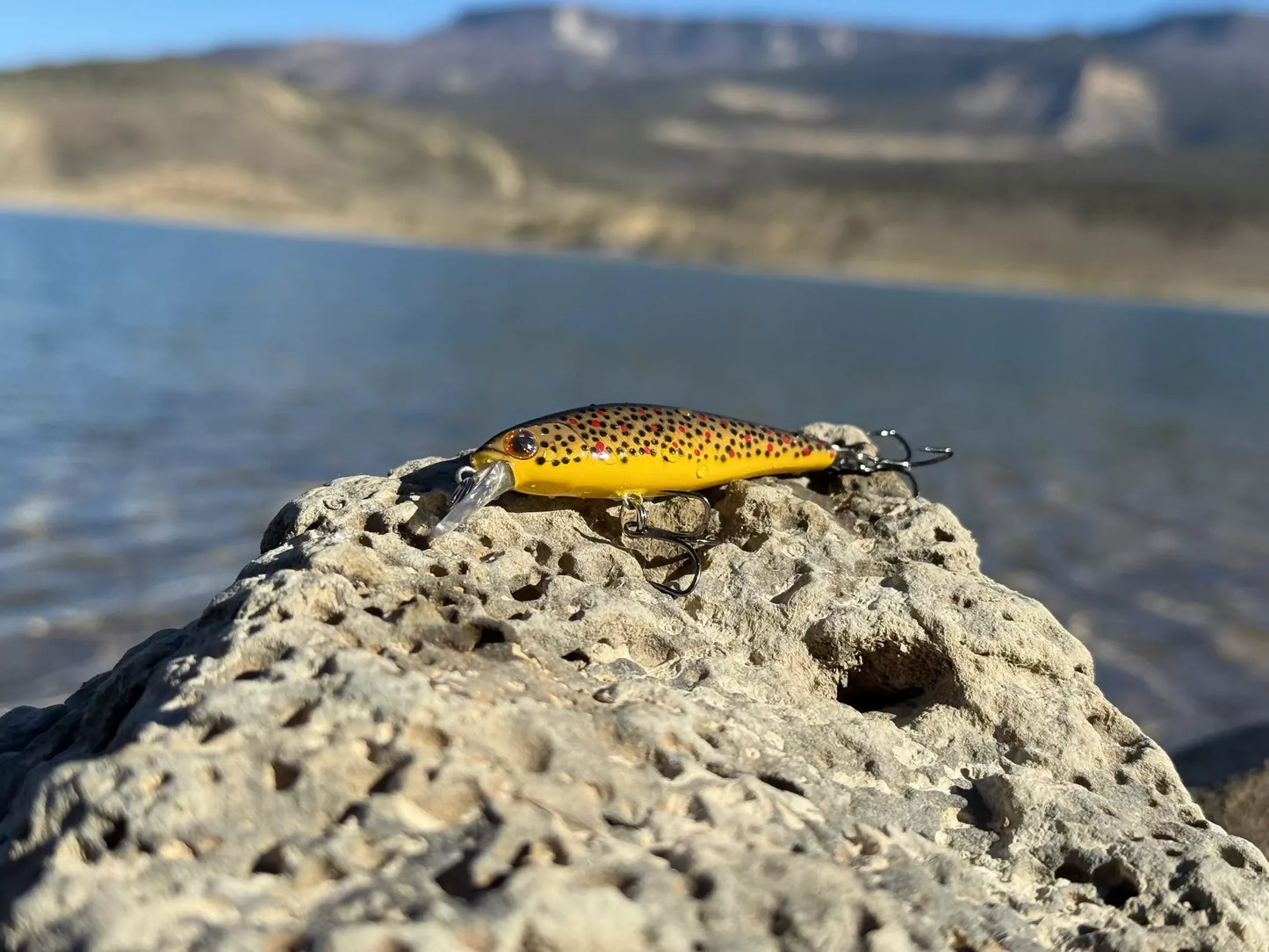 Backwoods Jerk Bait - Brown Trout