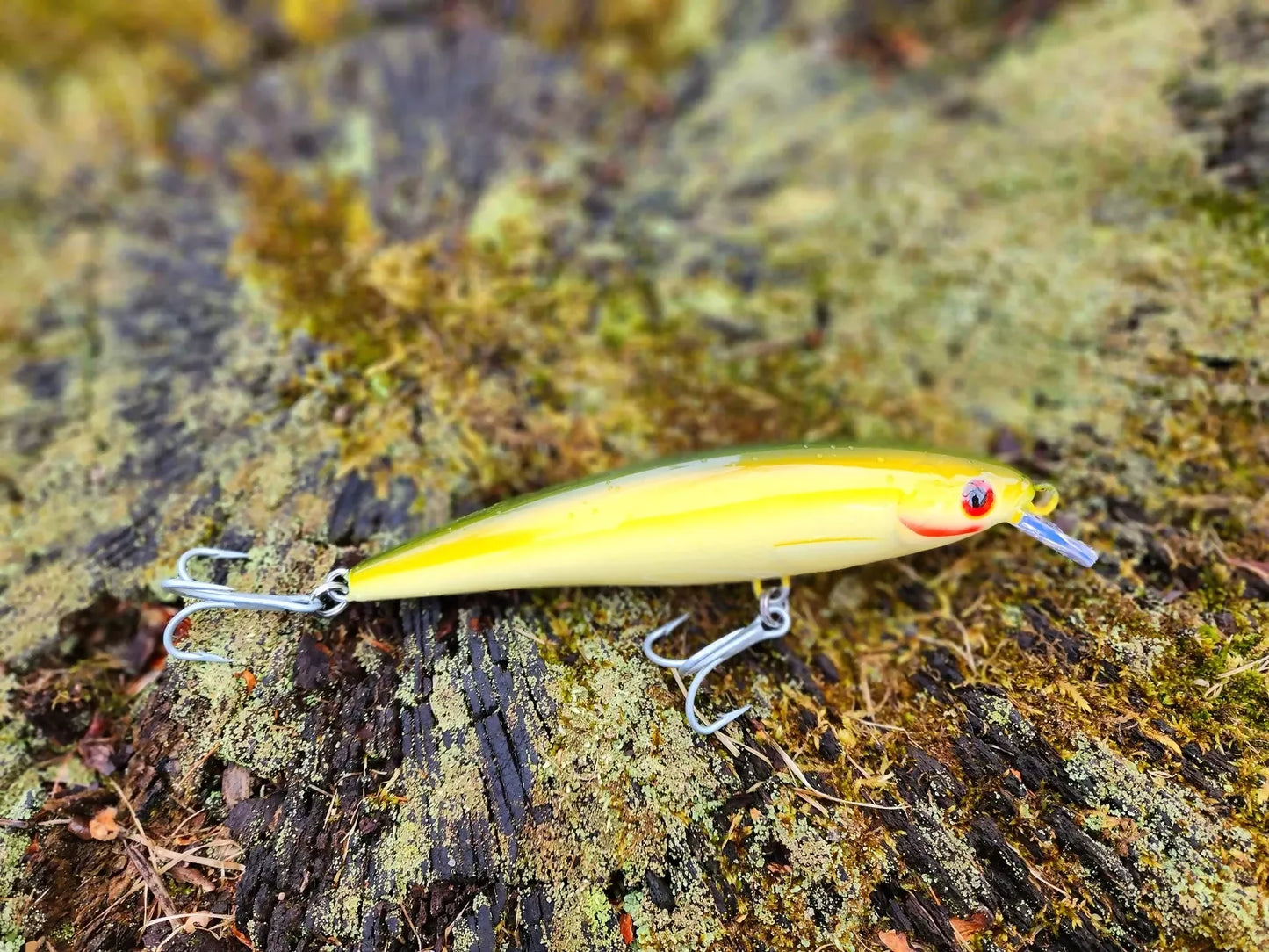 6" Greenback RIZZ Minnow