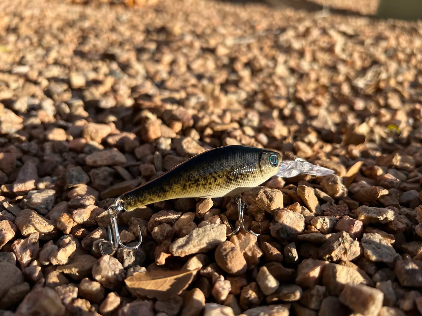 Backwoods Deep Diver - Bass
