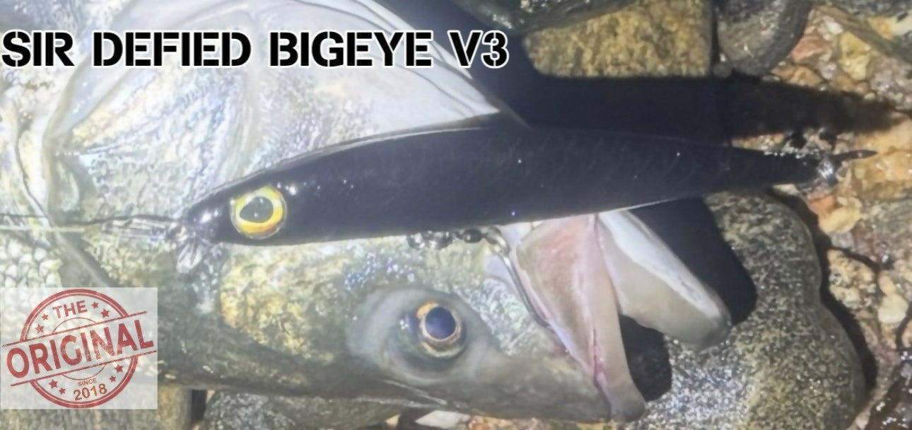 Bigeye v3