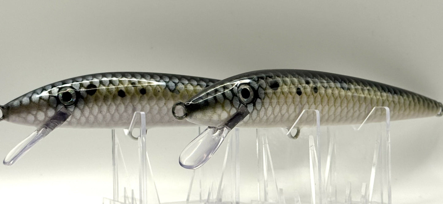 Meri Minnow