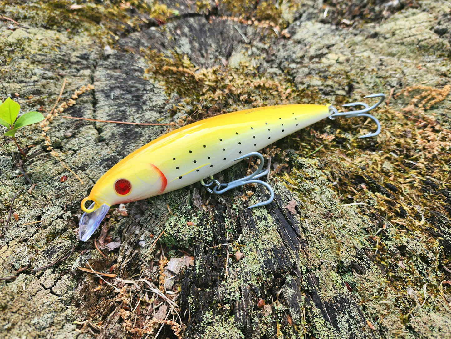 6" RIZZ Minnow (Chicken Scratch)