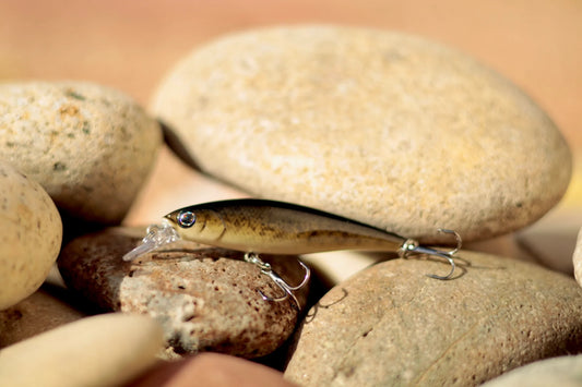 Backwoods Jerk Bait - Bass